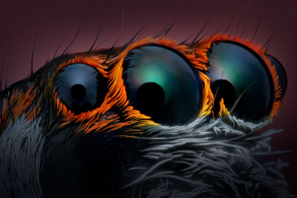 Фотография автора Tran Anh Tuan