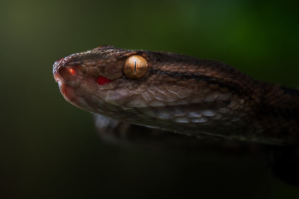 Фотография автора Tran Anh Tuan