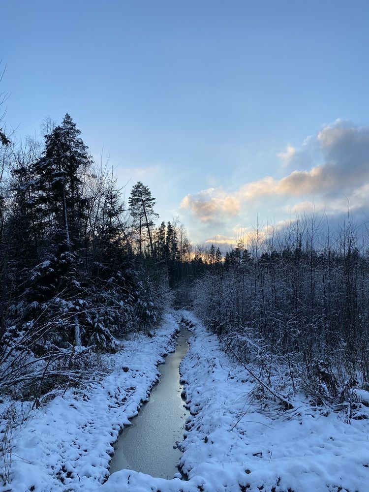 Золотой ручей