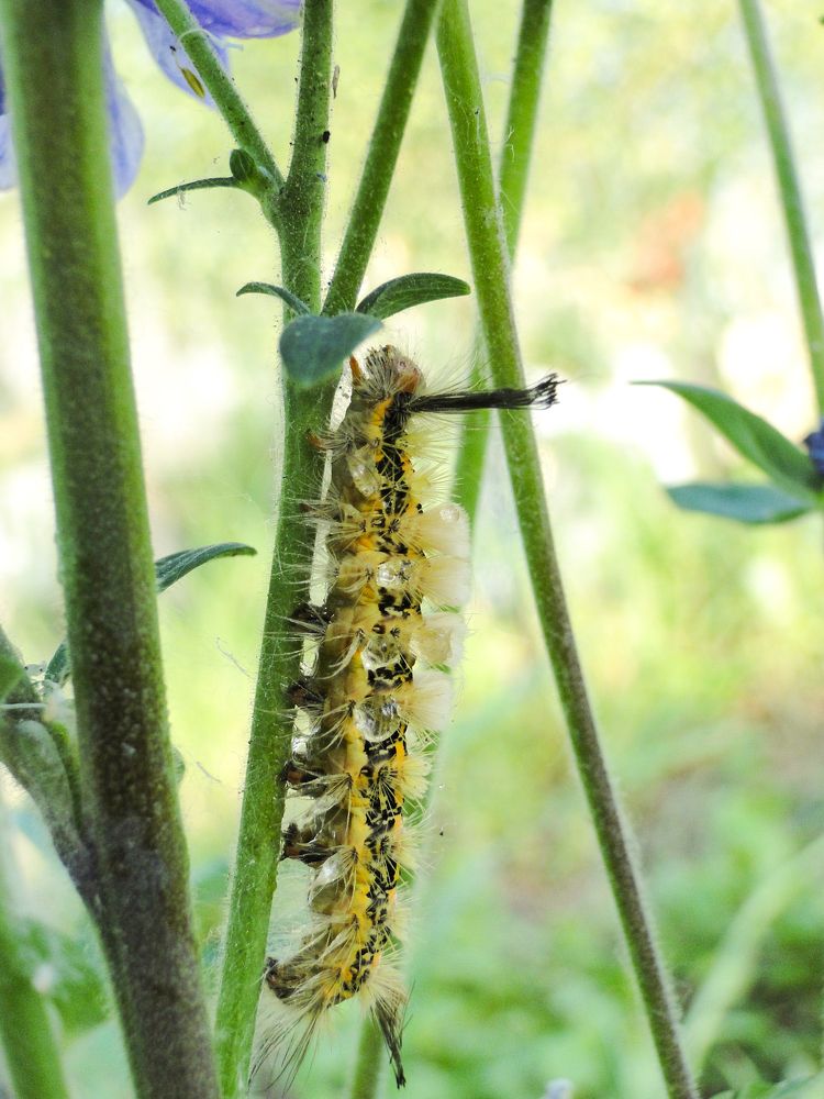 Photograph by Ксения Дудкина