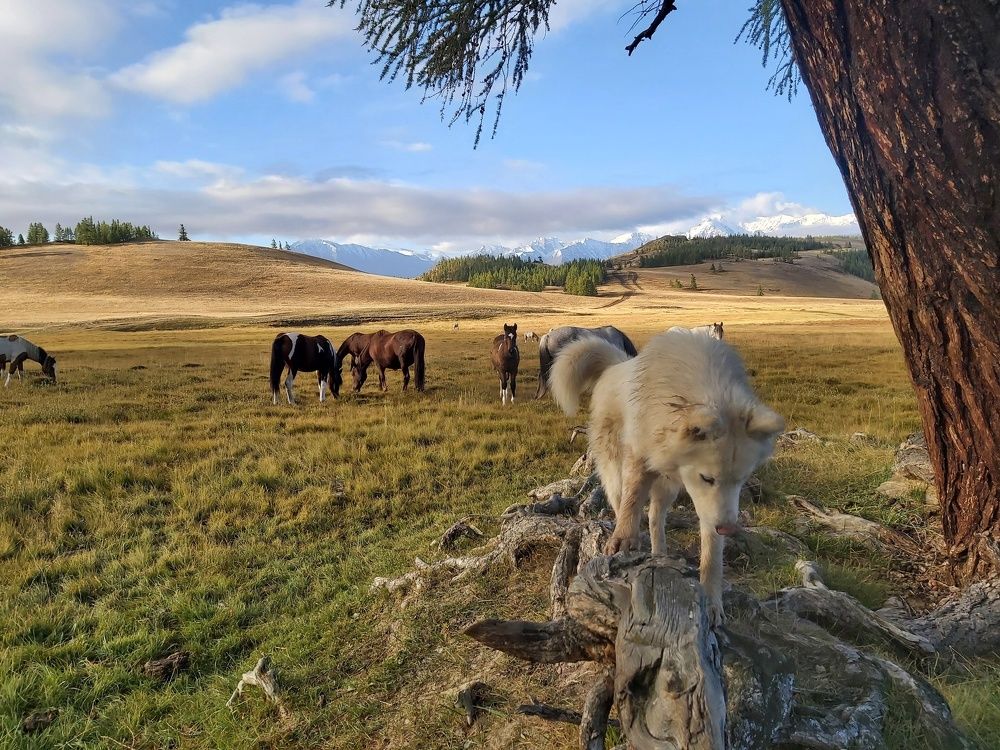 Photograph by Олег Лебедев