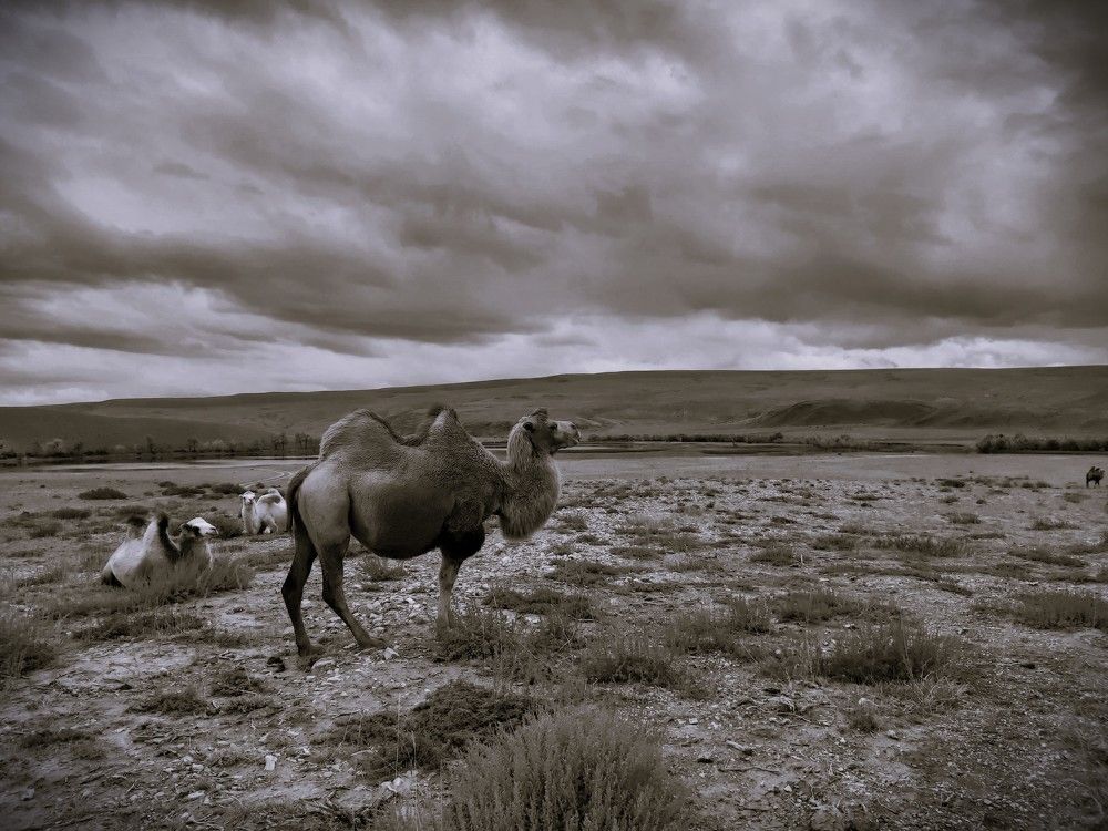 Photograph by Олег Лебедев