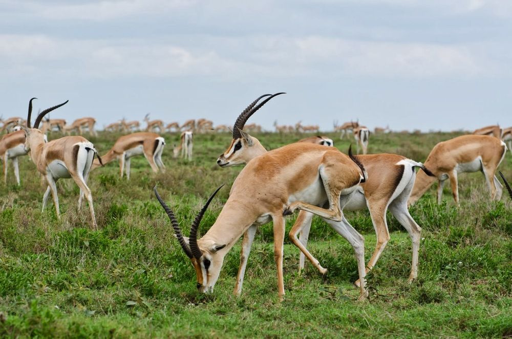 Photograph by Татьяна