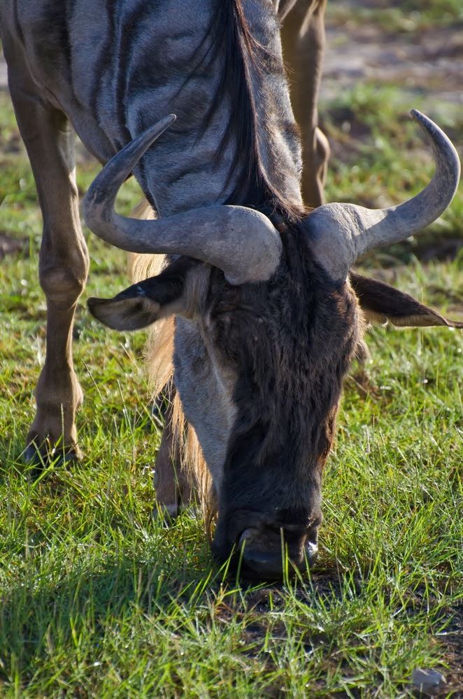 Photograph by Татьяна