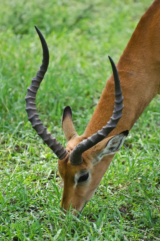 Photograph by Татьяна