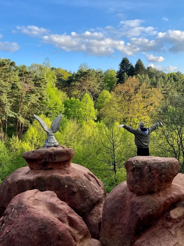 Горные орлы