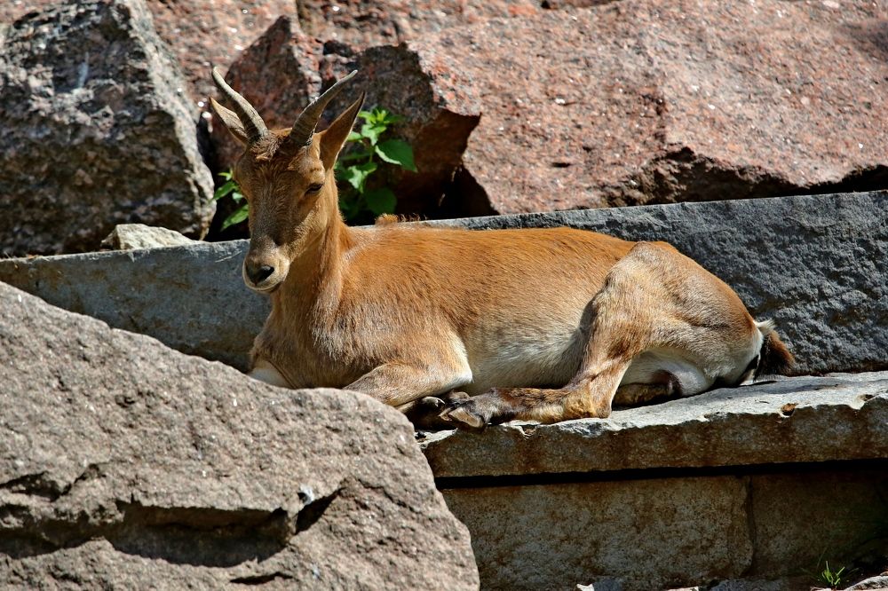 Photograph by Владимир Говоров