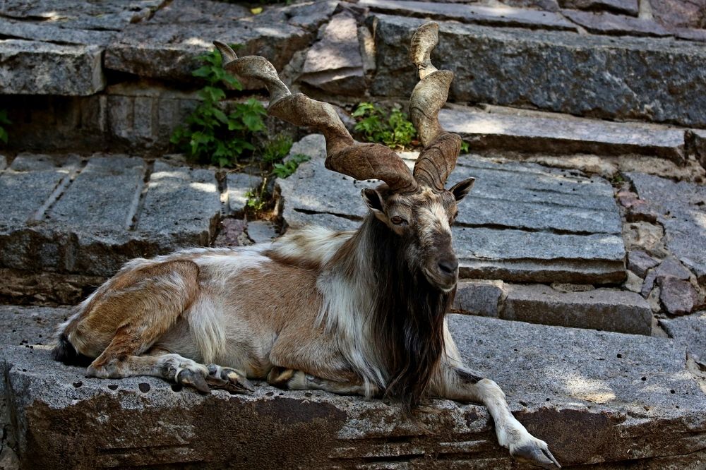 Photograph by Владимир Говоров