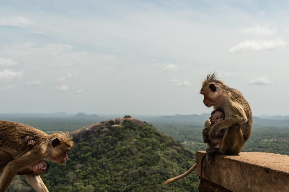 Photograph by Татьяна