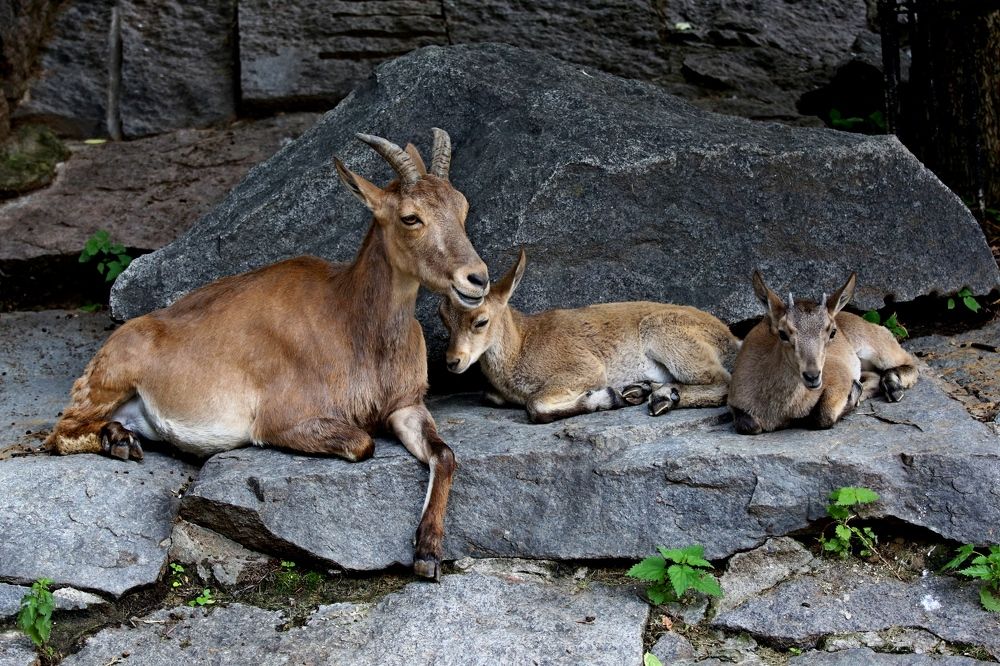 Photograph by Владимир Говоров