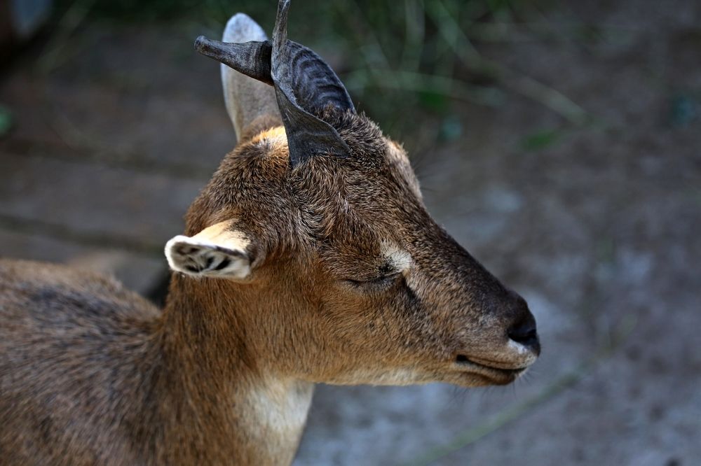 Photograph by Владимир Говоров