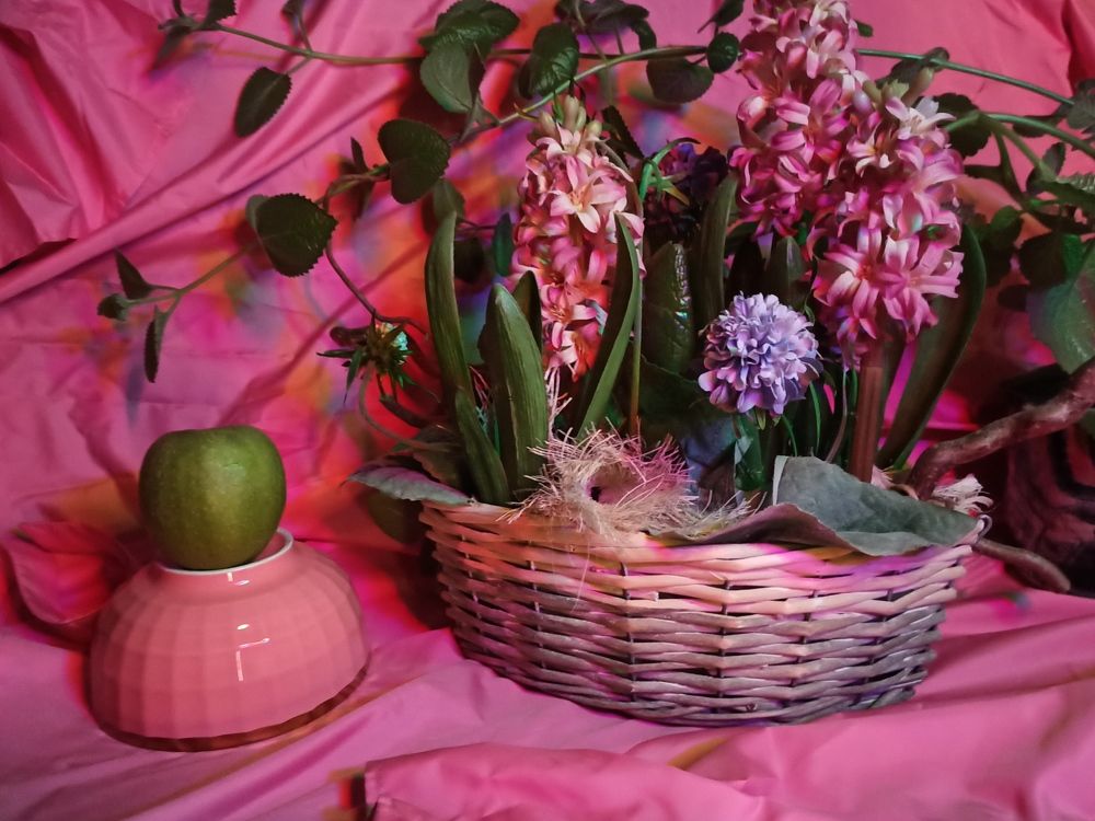 Фотография автора Юлия Сурина