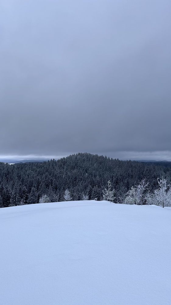 Photograph by Денис Ковальчук