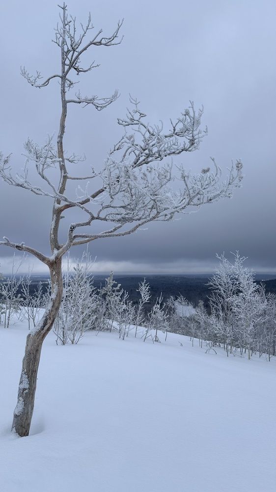 Photograph by Денис Ковальчук