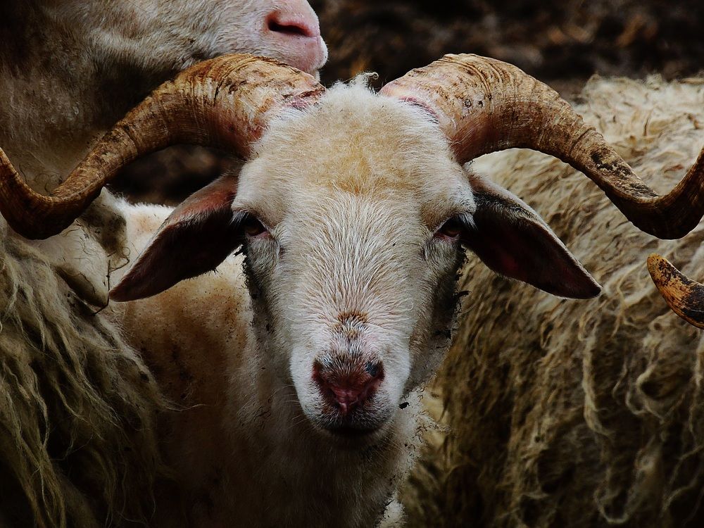 Photograph by Тимур Хохоев