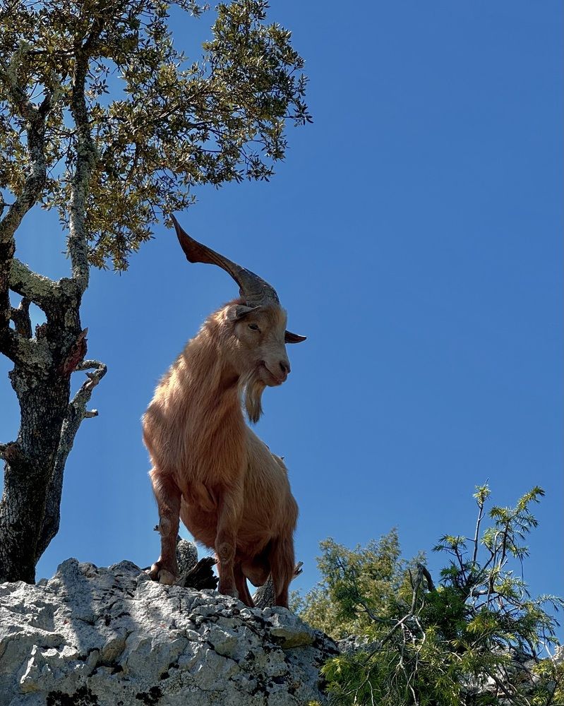 Photograph by Marina Odintsova