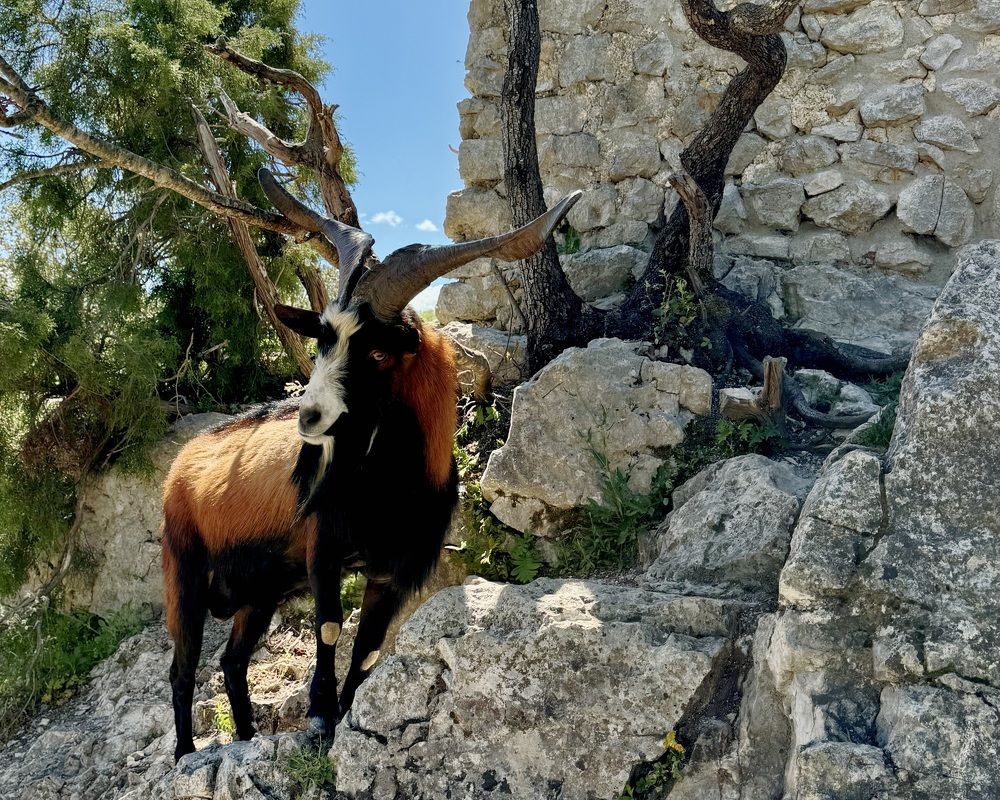 Photograph by Marina Odintsova