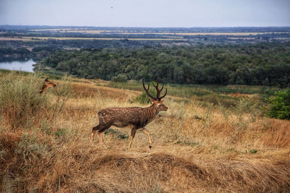 Photograph by Ярославна