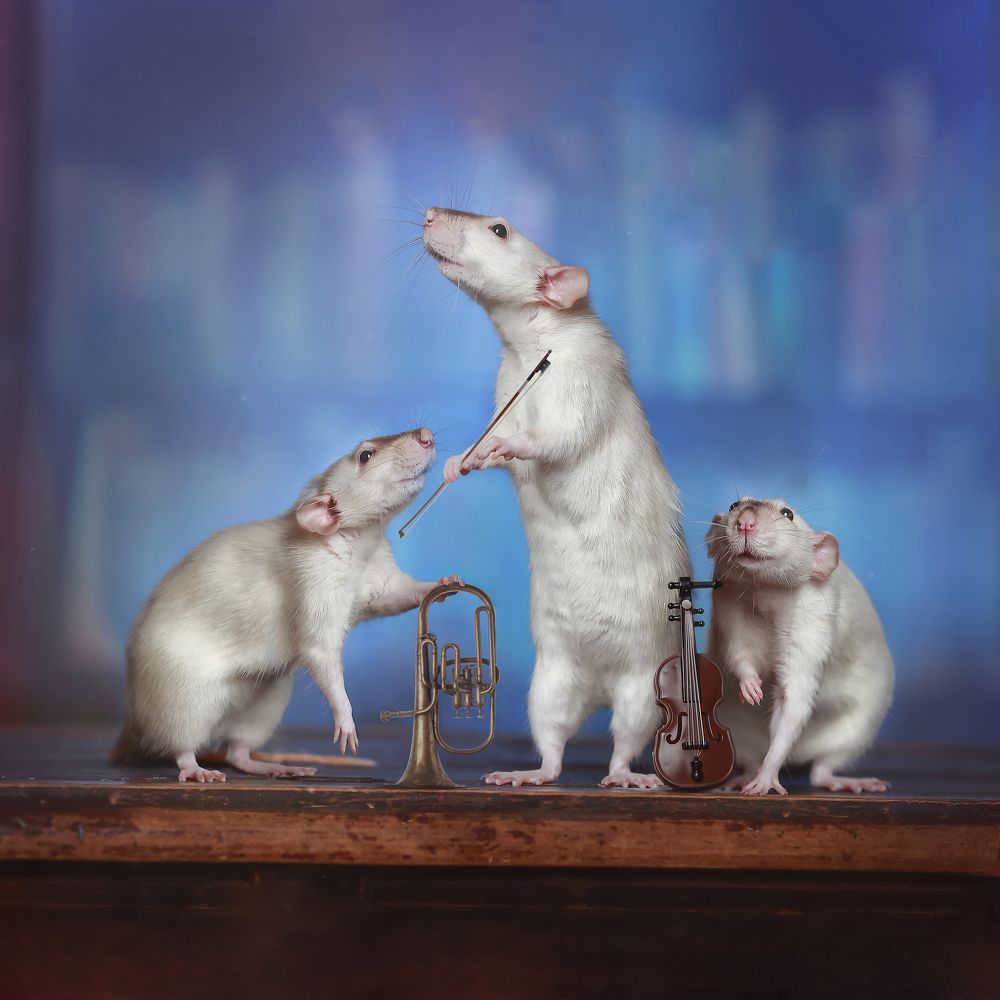 Photograph by Ирина Овчинникова