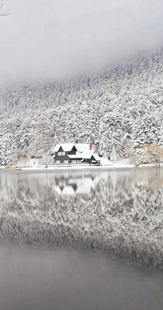 Photograph by Shafagh