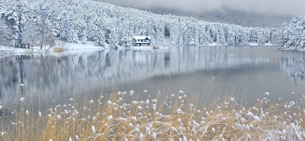 Photograph by Shafagh