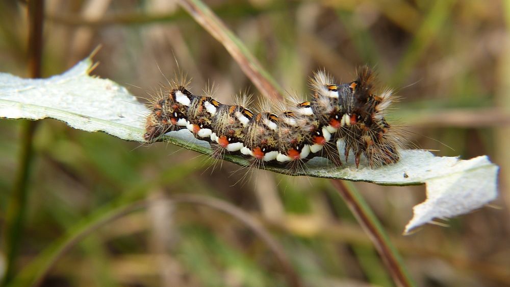 Photograph by Ольга