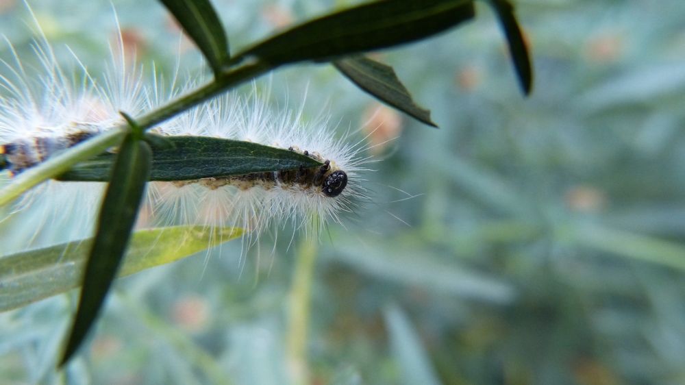 Photograph by Ольга