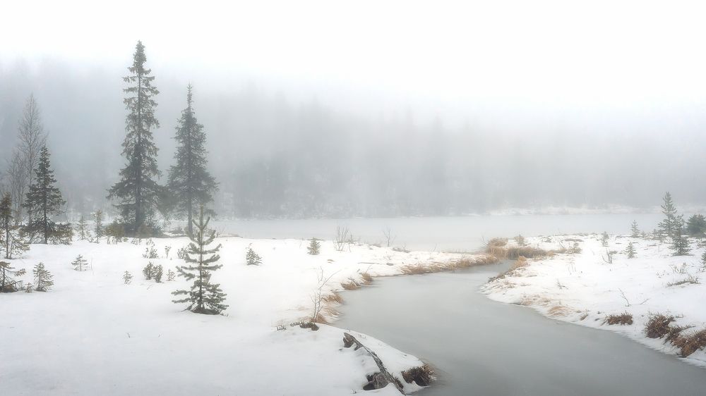 Все цвета осени: Белый