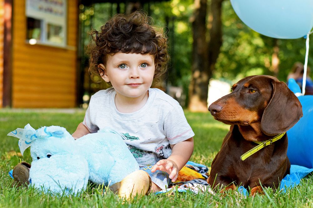 Фотография автора Ольга Тенилова