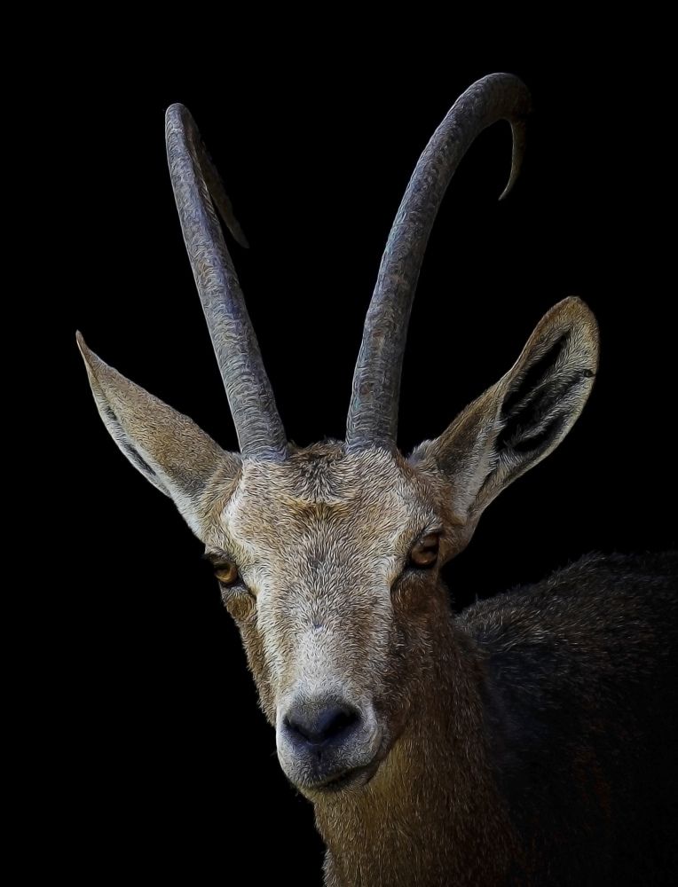 Photograph by Raed Victor Saad