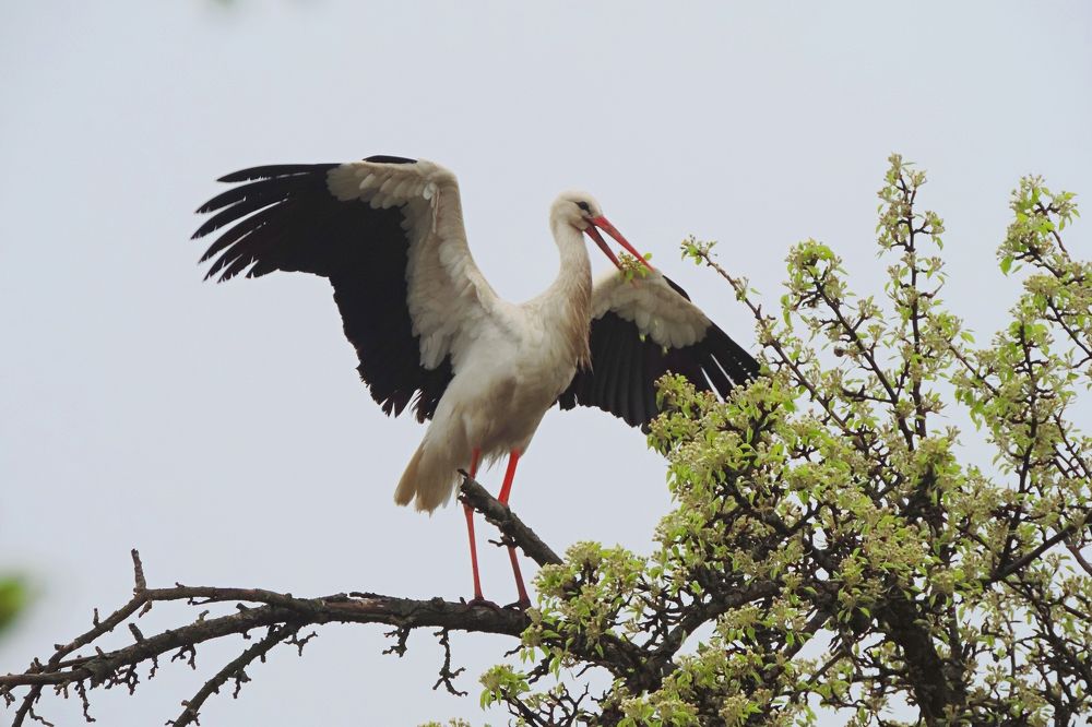 Photograph by Мария Широких
