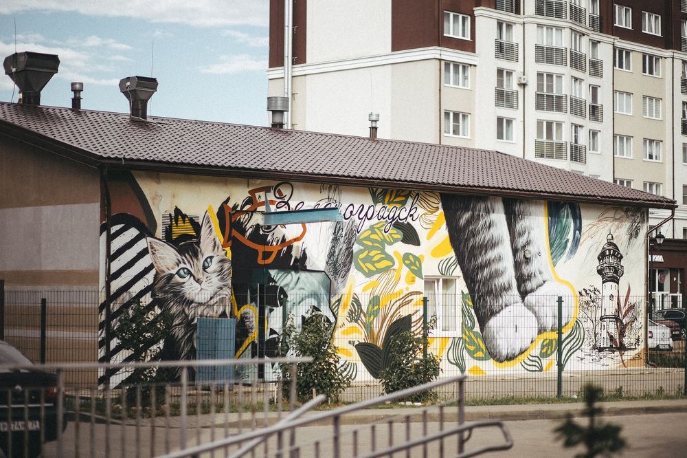 Фотография автора Yulia Babushkina