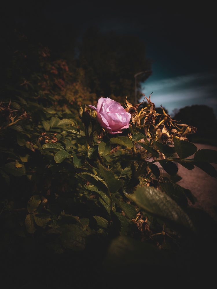 Photograph by Наталия Короленко