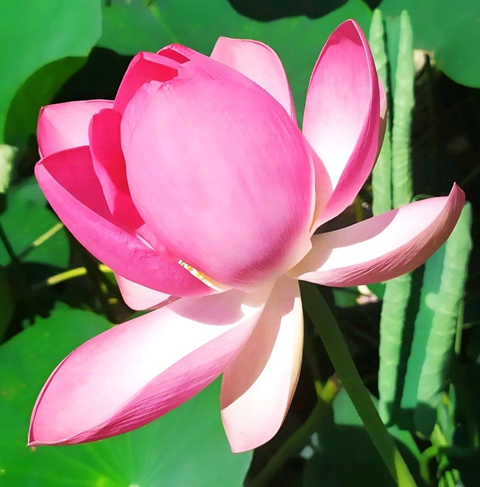 Photograph by Юлия Холомцева