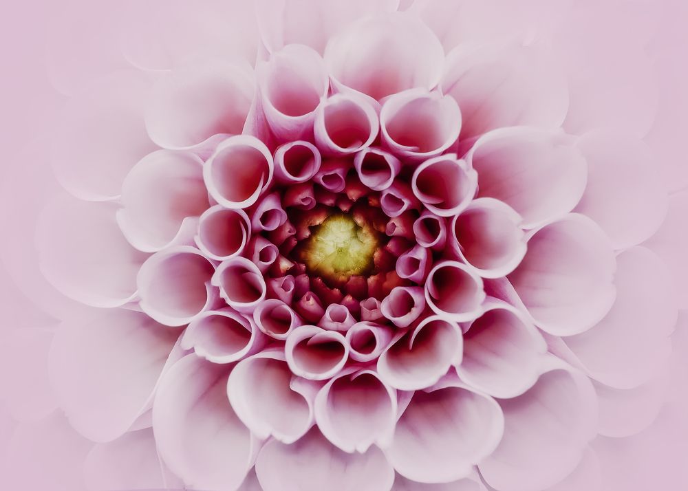 Фотография автора  Eirene