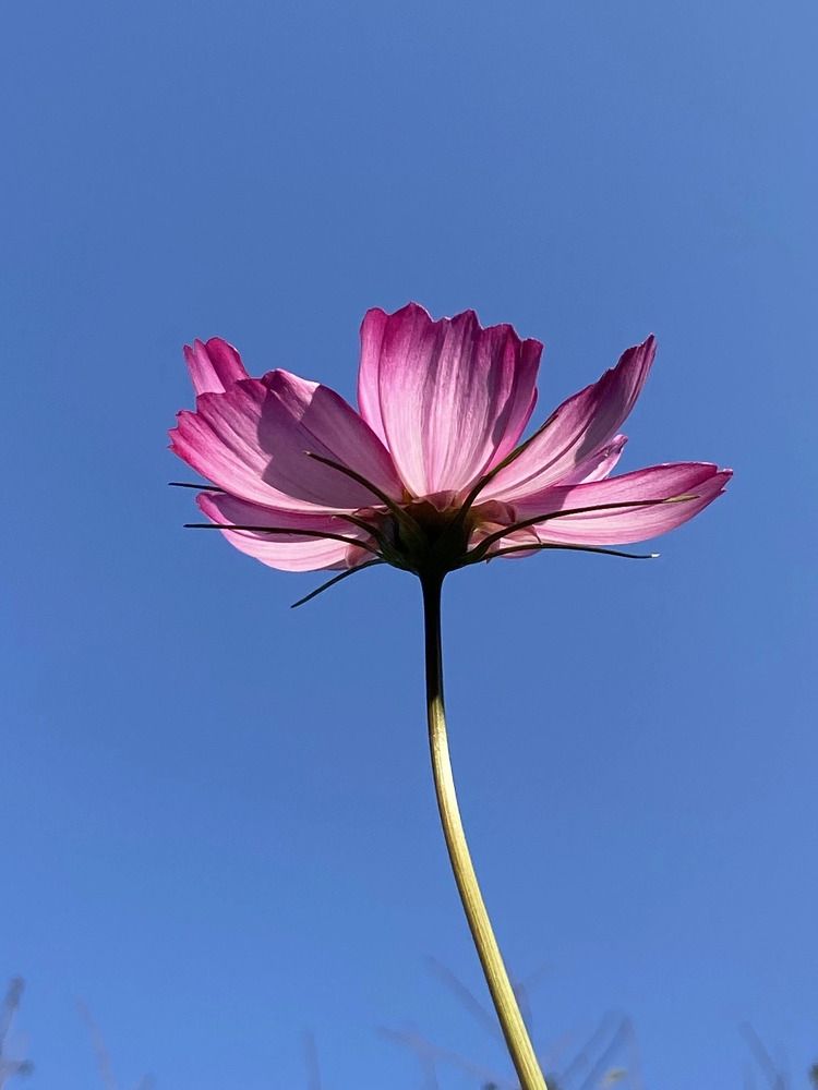 Photograph by Елена