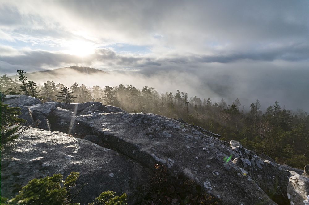 Photograph by ALEKSANDR KUZNETSOV