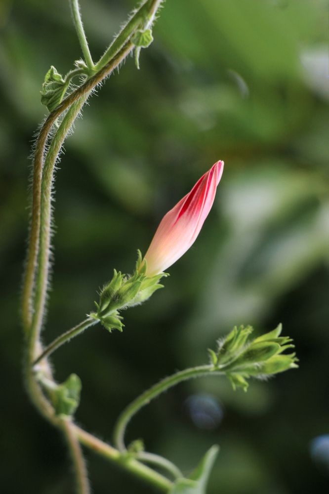 Фотография автора Татьяна Сергиенко
