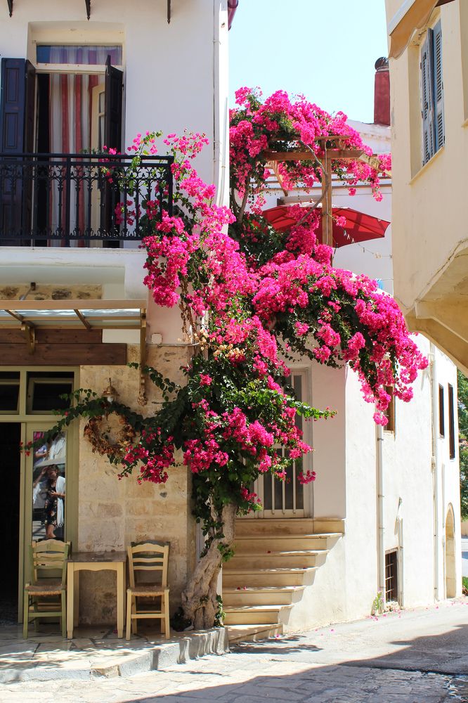 Photograph by Переверзева Татьяна