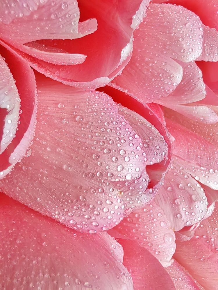 Фотография автора НАТАЛЬЯ СЕВЕР