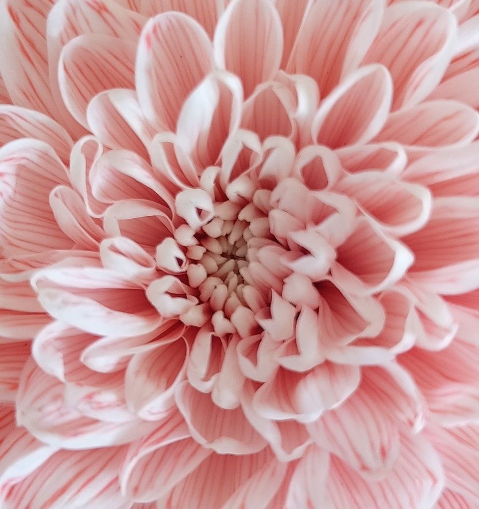 Фотография автора Елена Александрова