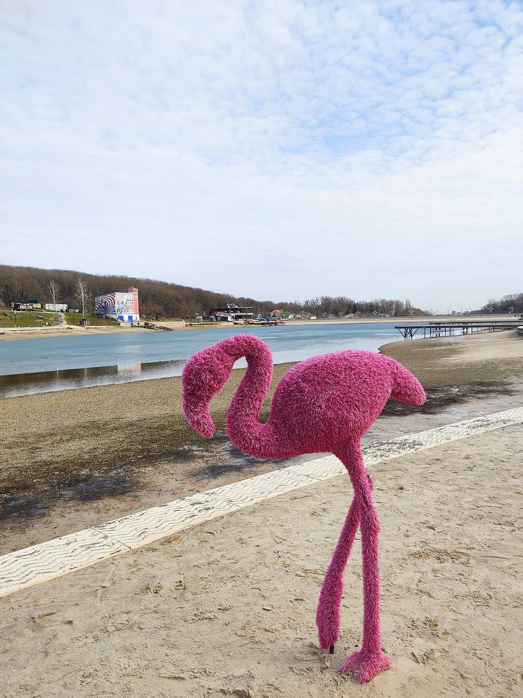 Photograph by Александра