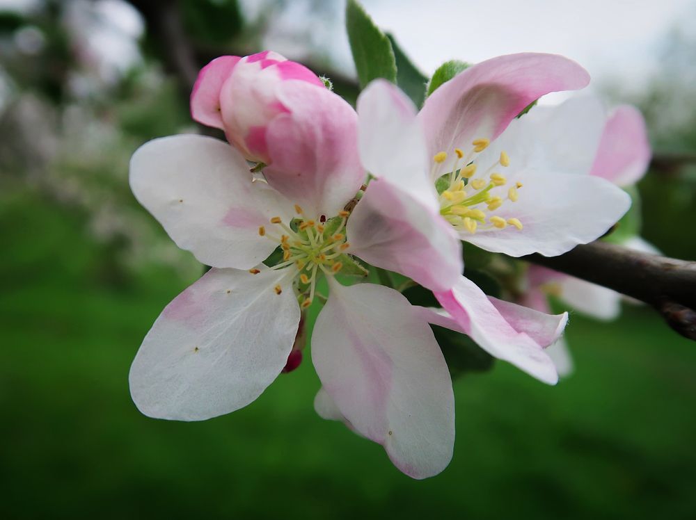 Photograph by Александра