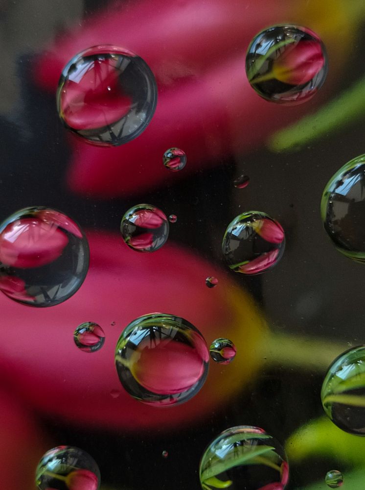 Photograph by Людмила Емельянчикова