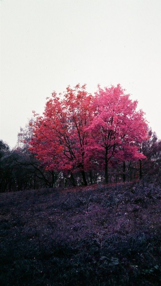 Photograph by Казаков Александр