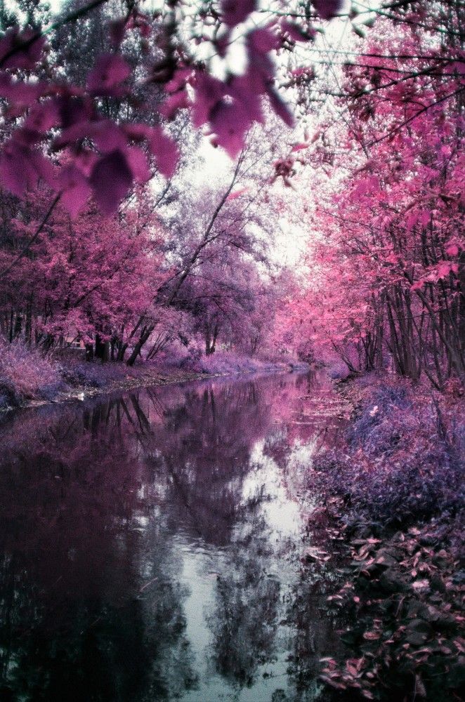 Photograph by Казаков Александр