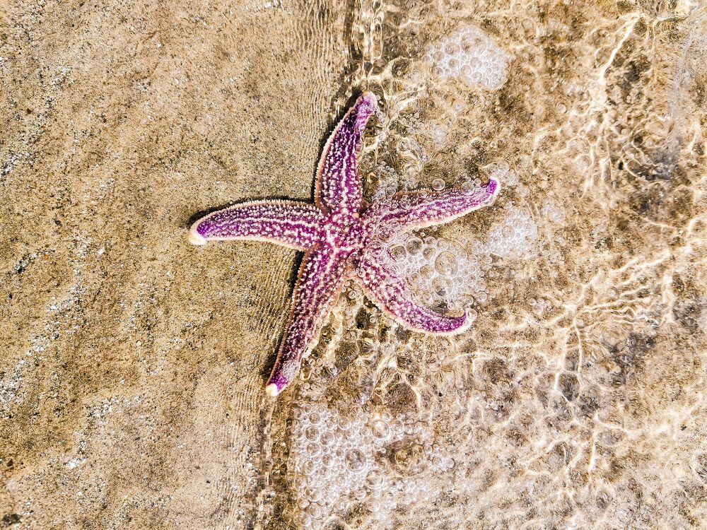 Photograph by Переверзева Татьяна