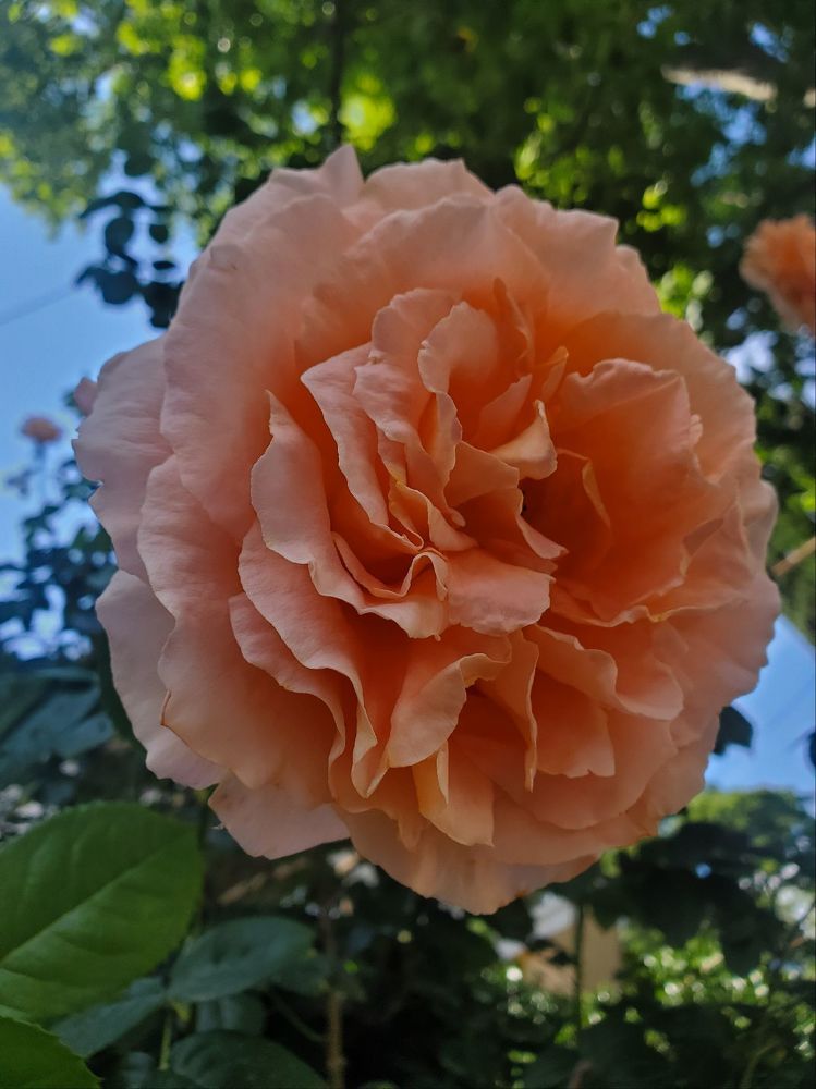 Photograph by Антон