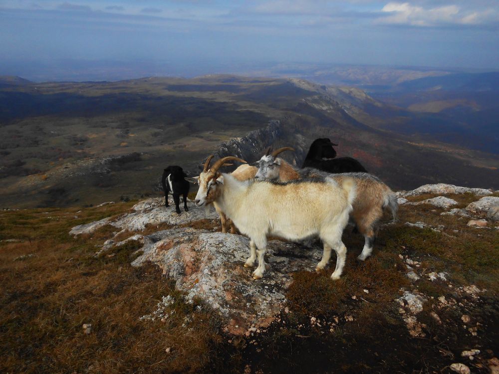 Photograph by Галина Глазкова