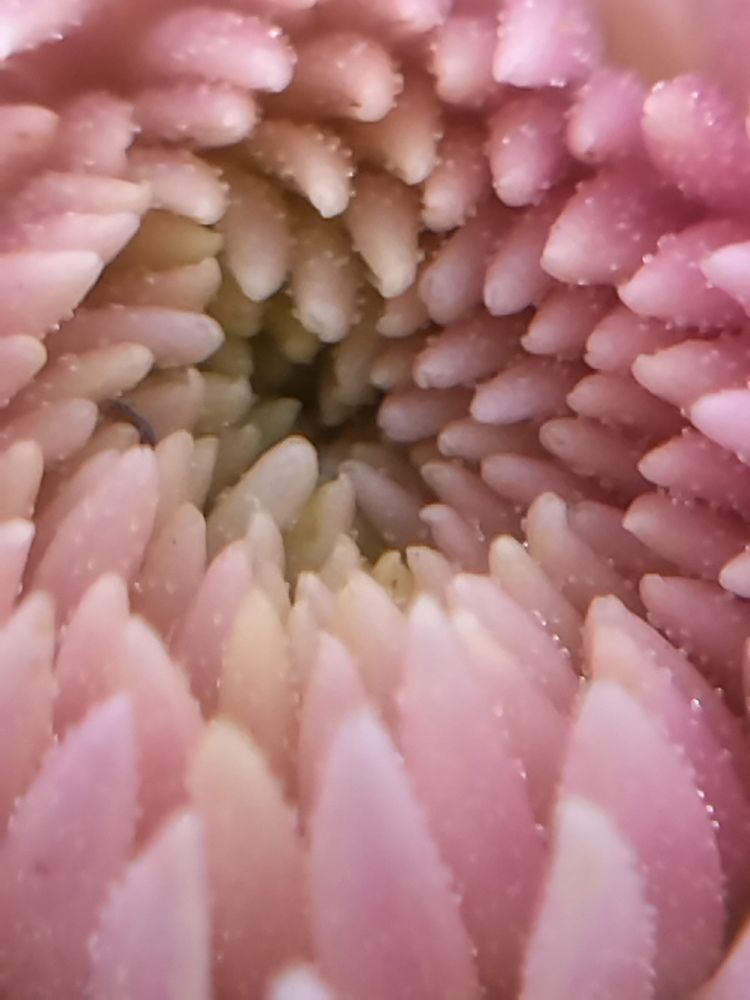 Photograph by Анна Степанова